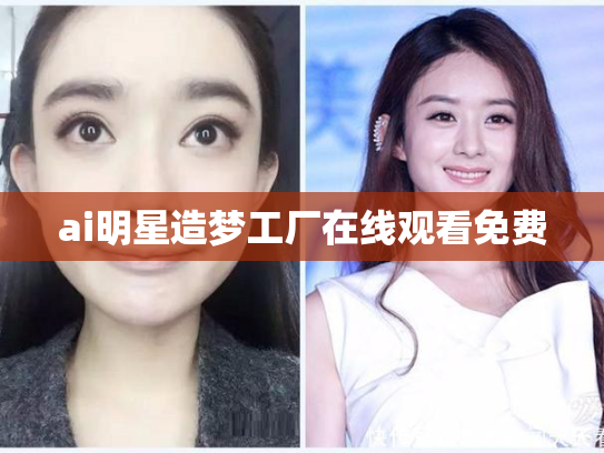 ai明星造梦工厂在线观看免费