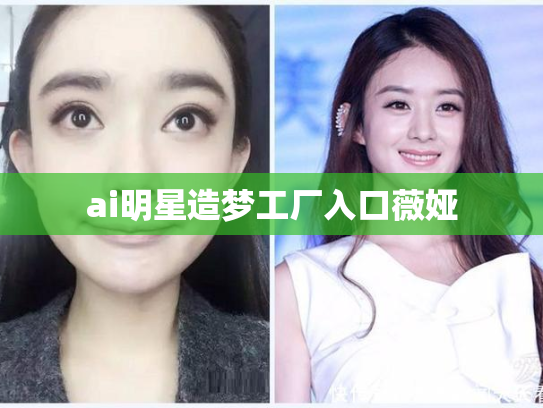 ai明星造梦工厂入口薇娅