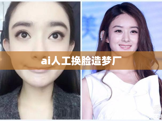 ai人工换脸造梦厂