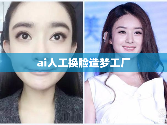ai人工换脸造梦工厂