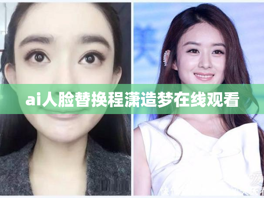 ai人脸替换程潇造梦在线观看