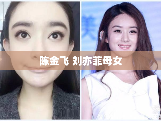 陈金飞 刘亦菲母女