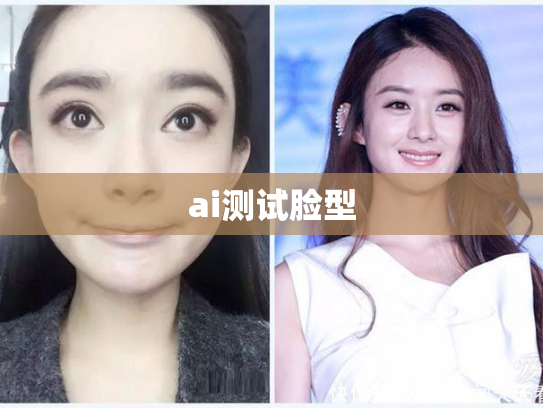 ai测试脸型