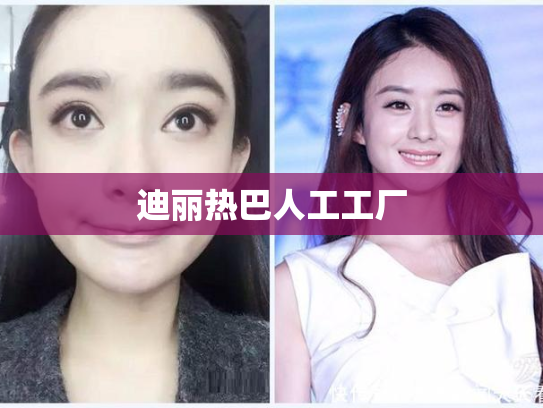 迪丽热巴人工工厂