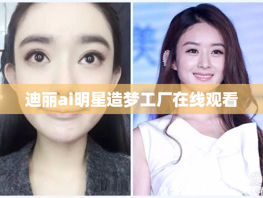迪丽ai明星造梦工厂在线观看