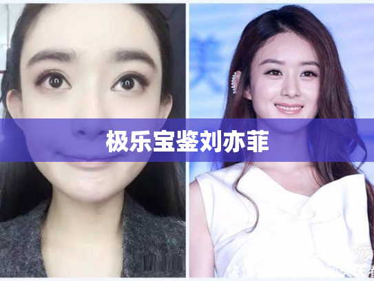 极乐宝鉴刘亦菲