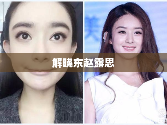 解晓东赵露思