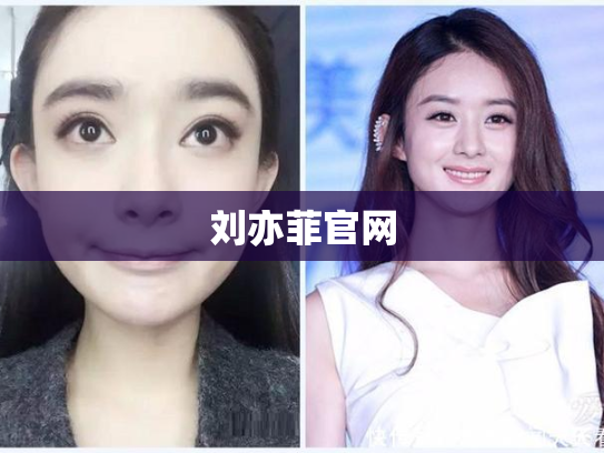 刘亦菲官网