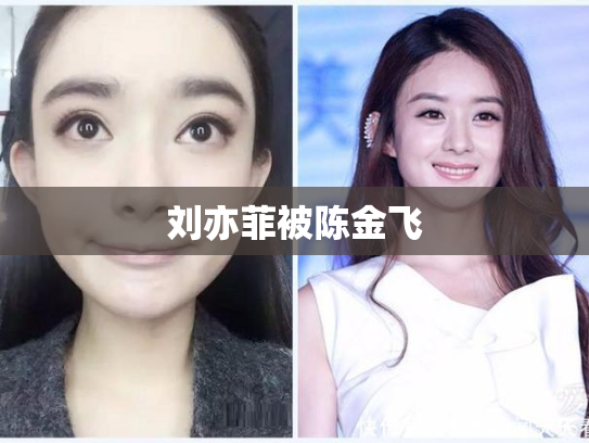 刘亦菲被陈金飞
