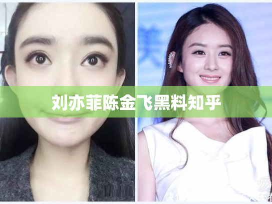 刘亦菲陈金飞黑料知乎