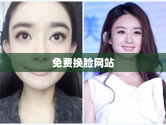 免费换脸网站