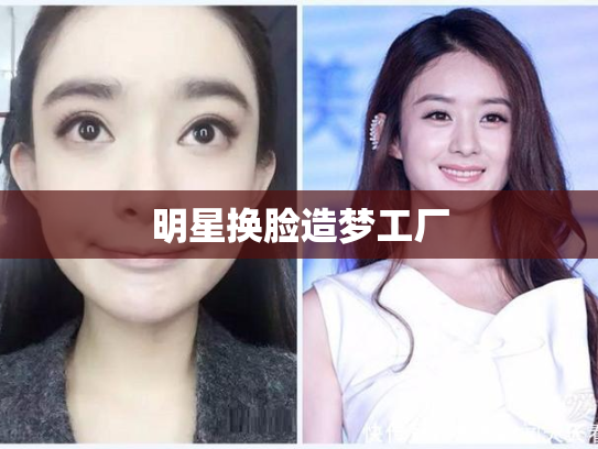明星换脸造梦工厂