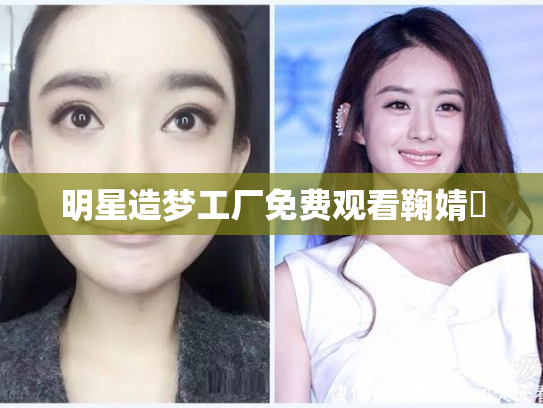 明星造梦工厂免费观看鞠婧祎