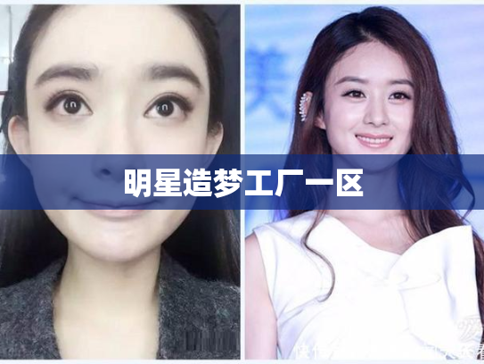 明星造梦工厂一区