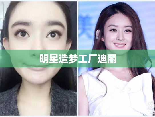 明星造梦工厂迪丽