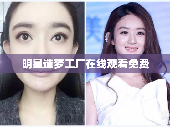 明星造梦工厂在线观看免费