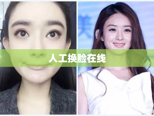 人工换脸在线