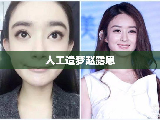 人工造梦赵露思