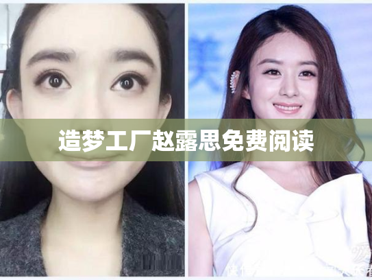 造梦工厂赵露思免费阅读