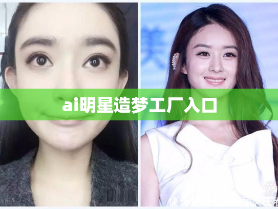 ai明星造梦工厂入口